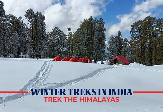 Winter Treks : Explore the Snowy Trails with Trek The Himalayas